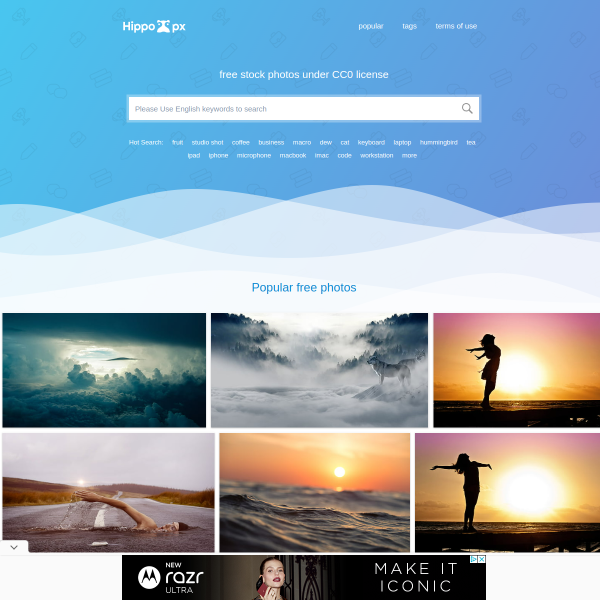 hippopx.com thumbnail